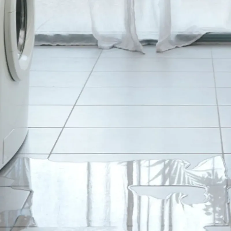 Appliance Leak Cleanup in Caledonia, MI