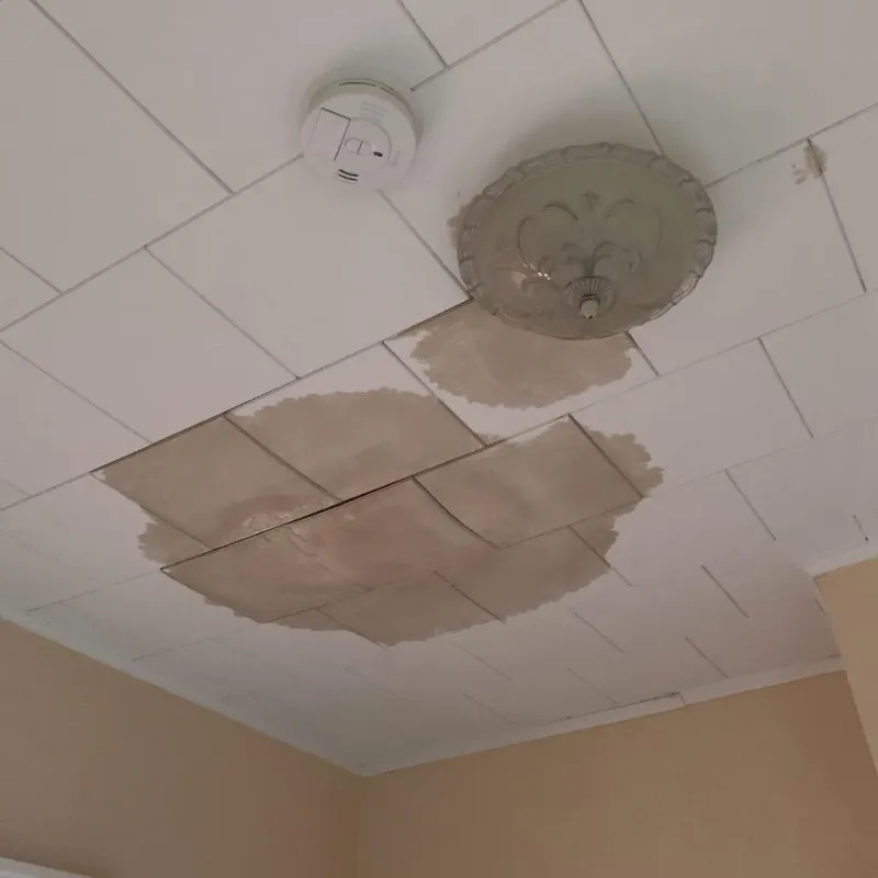 Ceiling Water Damage Repair in Caledonia, MI