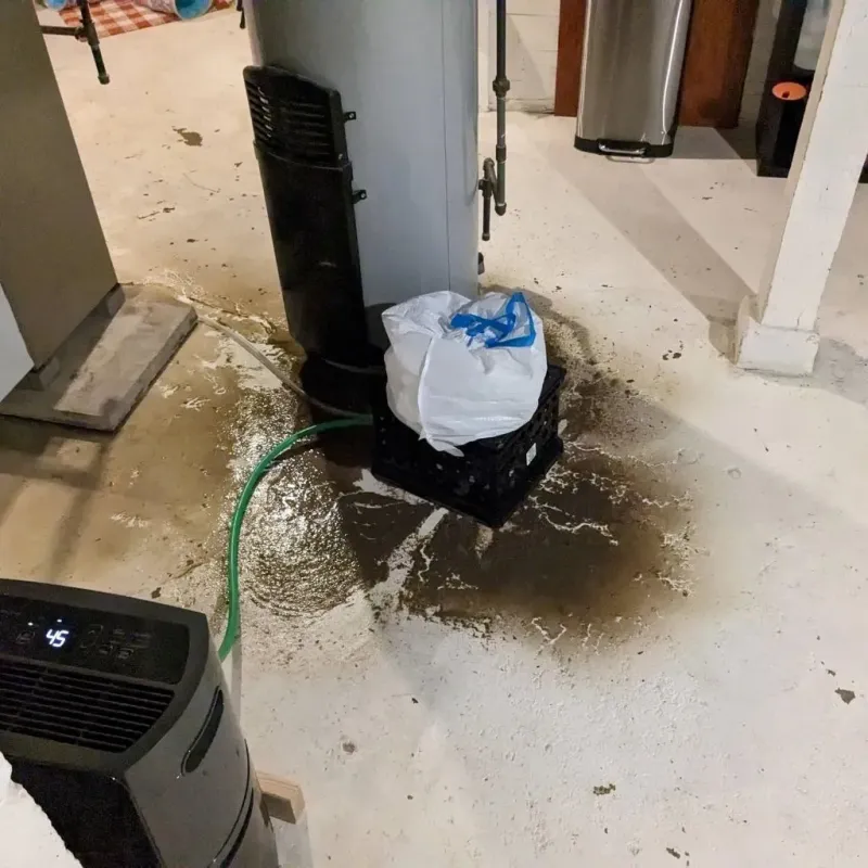 Sewage Backup Cleanup Service in Caledonia, MI